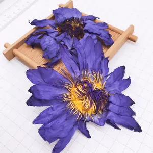 HO4009 Lan lian hua prodotti di vendita calda fiore di loto blu essiccato