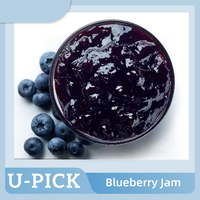 Isian Krim dan Selai Blueberry Grosir untuk Kue, Pastry, dan Dessert - 5kg Penyimpanan Suhu Normal