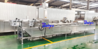 Baiyu Baiyu industriële blancherapparatuur voor de verwerking van groenten, fruit en vis met PLC-besturing