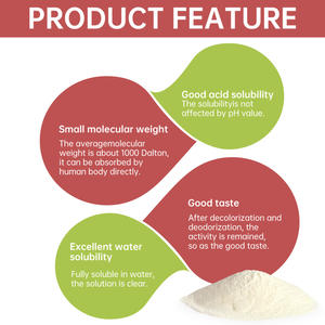 Eklem Sağlığı ve Tırnak Bakımı için Yüksek Kaliteli Tip II Kolajenin Fabrikadan Doğrudan Satışı - Product Image 5