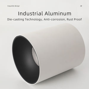 Forte dissipation thermique anti-éblouissement monté en Surface IP67 <span class=keywords><strong>professionnel</strong></span> étanche <span class=keywords><strong>Spot</strong></span> Downlight 10-60W <span class=keywords><strong>pour</strong></span> <span class=keywords><strong>magasin</strong></span> de vêtements - Product Image 4