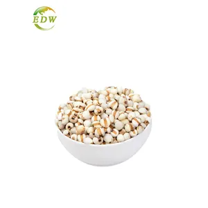 Whitening and Spot Removing Semen Coicis Extract / Coix Lacryma-Jobi Seed Extract / Ma-yuen Jobstears Seed Extract