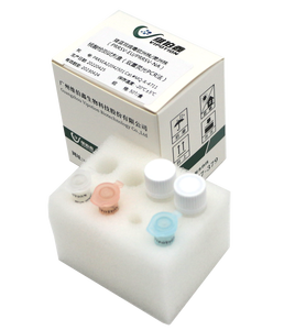 돼지 Circovirus PCR 실시간 QPCR 테스트 키트 이름으로 제조 된 진단용 동결 건조 수의학 기기 - Product Image 4