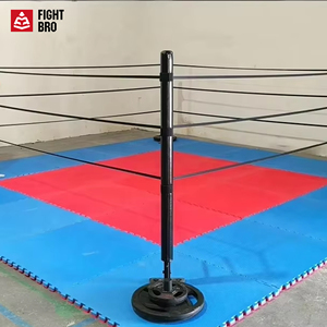 FightBro FPR Portable Mini <span class=keywords><strong>Ring</strong></span> Boxing - Product Image 1