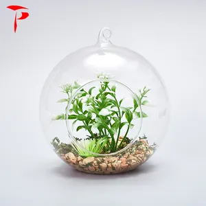 교수형 Terrarium 유리 꽃병 인공 즙이 많은 식물