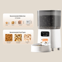 Distributeur automatique de nourriture pour animaux de compagnie en acier inoxydable, intelligent, télécommandé, pour chat et chien, avec minuterie quantitative et vidéo