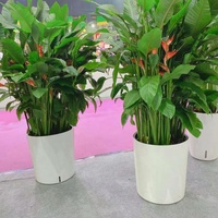 YIZHITANG Pot bunga plastik, tipe Bucket Modern PP 12.5X14 desain tali katun menyerap sendiri untuk taman rumah