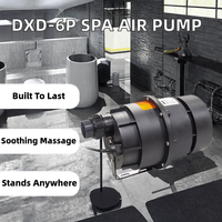 Pompe à air autonome DXD-6M 230V 50-60Hz 750W pour spas et bains à remous, souffleur de bulles électrique moderne et écologique pour baignoire