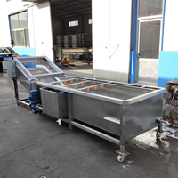 Industriële Verse Groente Fruit Reiniging Droogverwerking Machines Droogdata Wasmachine Te Koop