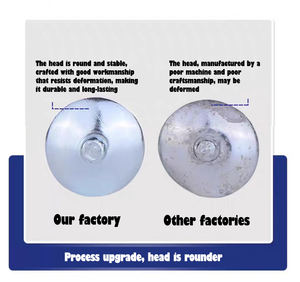 2,5 Zoll 3 Zoll 3,5 Zoll Dach Regenschirm Nägel Kappe Nägel Box Regenschirm Zink Dach nägel mit Unter leg scheibe Bolivien Brasilien Chile Markt - Product Image 4