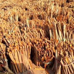 Split Cassia New Natural Cassia, Stick Cassia, Whole Cassia from Phalco Vietnam - Product Image 1