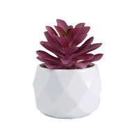 Alwaysbloom Lz007 - Plantes succulentes artificielles - Décoration DIY - Ensemble de plantes succulentes artificielles en plastique - Plantes en pot - Décoration intérieure - Décoration florale