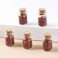 Bouteille à Vœux avec Décoration en Cristal Naturel, Mini-Échantillons de Minerais Curatifs et Gravier de Cristal Naturel