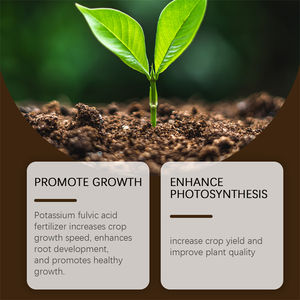 MoonSpry Activateur de sol source minérale, favorisant la croissance, augmentant le rendement, améliorant la fertilité et la structure du sol, et anti-maladies - Product Image 4