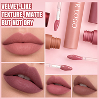 Gloss à lèvres mat de vente au détail pour boutique de beauté, faible MOQ, en stock, couleurs tendance, best-seller, gloss liquide teinté