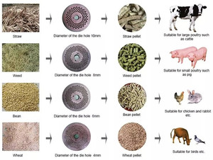 Modelo 125 150 160 260 300 carcasa de rodillo resistente al desgaste matriz de anillo de troquel plano piezas de repuesto para Molino de pellets - Product Image 2