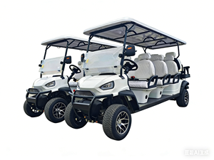 Voiturette de golf 4 rangées 8 places moins chère / Buggy de golf personnalisable / Voiturette de golf électrique à quatre roues à vendre - Product Image 2