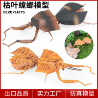 Modèle de jouet d'insecte arthropode simulé pour enfants yxs, grande mantisse, insecte à lames, pièce d'exposition cognitive feuille d'orchidée morte