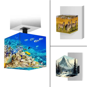 Pantalla LED Cúbica de 5 Lados Personalizada, Impermeable, para Interiores/Exteriores, para Publicidad en Tiendas y Ascensores, con Píxeles P3.91 - Product Image 5
