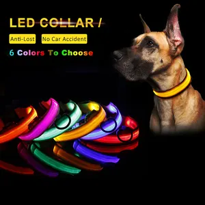 Collier LED en Nylon et silicone imperméable pour petits chiens, vente en gros, créatifs, bon marché, écologique, accessoire d'entraînement, vente en gros,