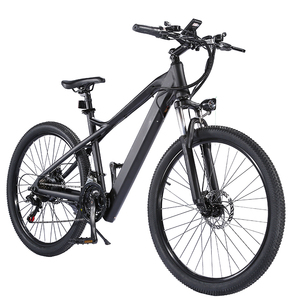 <span class=keywords><strong>Freego</strong></span> High Motor Power 600W Bicicleta eléctrica de ciudad con 21 velocidades Bicicleta eléctrica plegable para unisex - Product Image 2