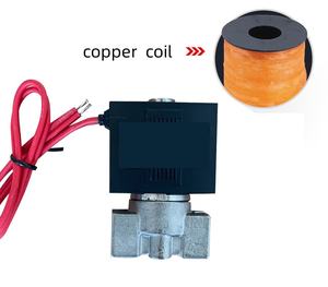 Iki yönlü 1/4 1/8 <span class=keywords><strong>2</strong></span> Port doğrudan işletilen normalde kapalı pirinç paslanmaz çelik Solenoid vana Vx2120-06 08 220v 110v 24v 12v - Product Image 6