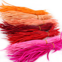 Gekleurde Natuurlijke Ganzenveren Voor Haarambachten Veren Voor Sieraden Maken Vliegbindmaterialen Decoratie Carnaval Dromenvanger