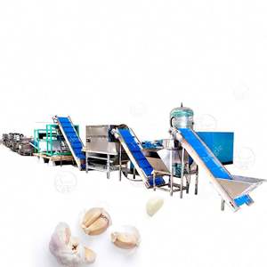 Ligne de production de sauce à l'ail-Machine de traitement d'éplucheur à l'ail avec moteur et PLC de composants de base pour application alimentaire - Product Image 2
