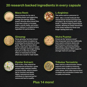 Comprimés d'amélioration masculine Erecton Pro, flux sanguin instantané, soutien de la libido, 60 comprimés - Product Image 4