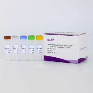 Kit de PCR do vírus da febre aftosa liofilizado (baseado em sonda, 50 testes) - Product Image 1