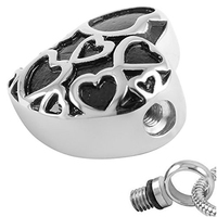 Joyería Ecológica Impermeable para Cremación de Mascotas, Colgante de Urna para Cenizas en Forma de Corazón, Plateado en Plata, de Acero Inoxidable