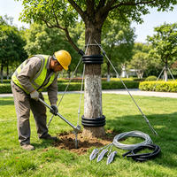 Kit de tirantage d'arbres avec ancrages bec de canard, câble en acier et tige de fixation pour le soutien des racines et le stabilisation des arbres en aménagement paysager