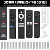 Télécommande personnalisée en plastique ABS RCT2022, OEM/ODM d'usine, infrarouge 1 à 1, Bluetooth 2.4G, souris aérienne vocale, sérigraphie personnalisée