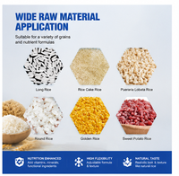 Extrudeuse automatique de riz artificiel à double vis en acier inoxydable haute capacité pour ligne de production de riz nutritionnel et riz fortifié