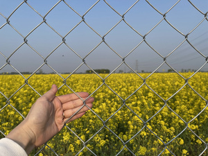 Chất lượng cao bền và đáng tin cậy nhúng nóng mạ kẽm Chuỗi liên kết lưới cho hàng rào lưới mắt cáo & Cổng - Product Image 2