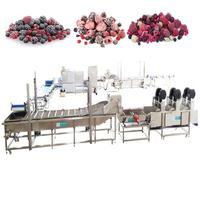 Industriële Bevroren Fruit Maken Machine Verwerkingslijn Vers Fruit Wassen Peeling Coring Snijden Snijden Iqf Vriesmachine