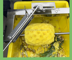 สแตนเลสสับปะรดสกินเนอร์/คู่มือสับปะรดปอกเครื่องมือที่มีราคาต่ำ - Product Image 4