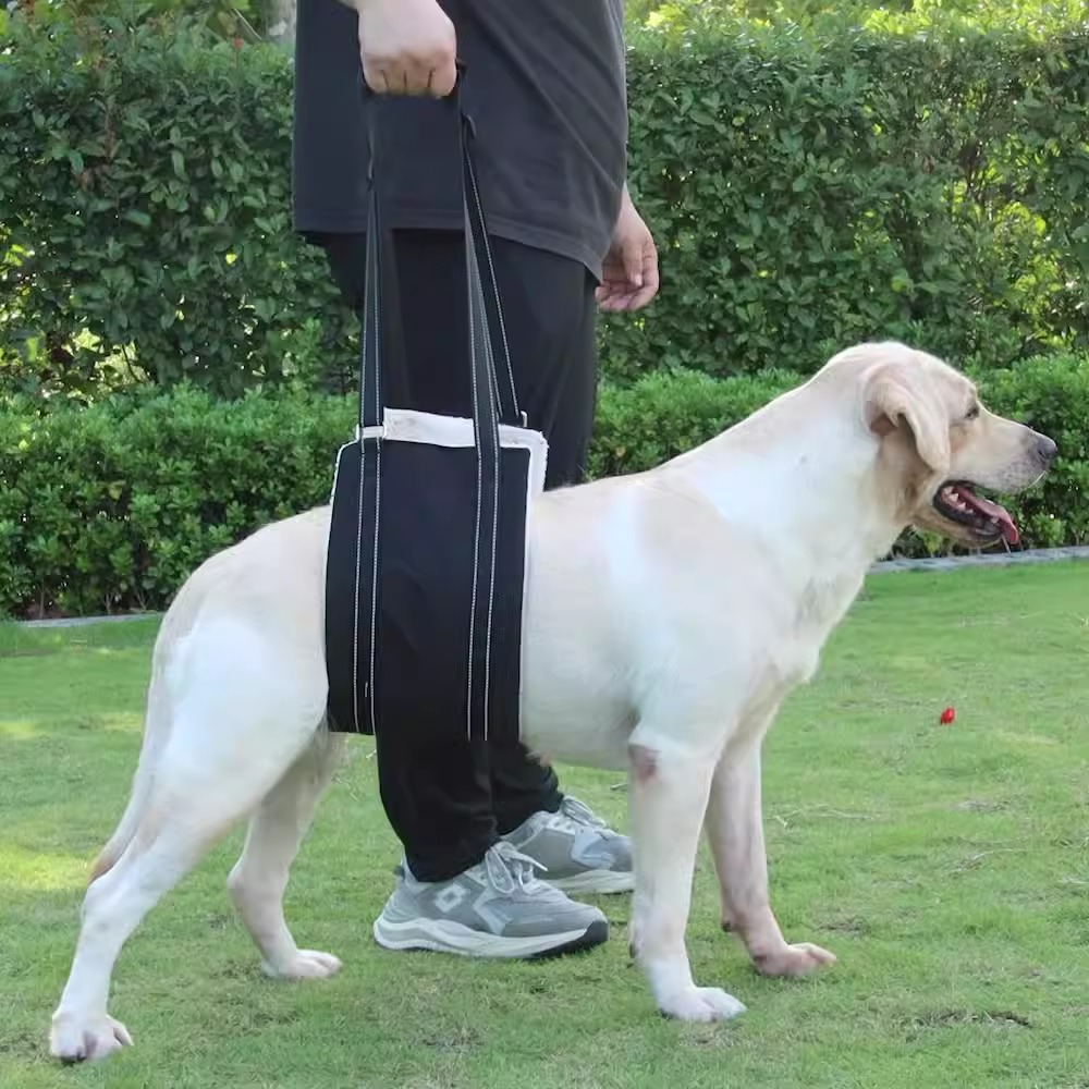 Dog Lifter For Large Elderly Dogs Dog Lift Harness Backpack - Support & Recovery Carrier For Elderly & Injured Dogs Dog Backpack Harness