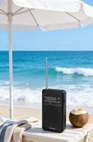 Radio portable classique noire AM FM double bande avec son clair pour la maison et l'extérieur