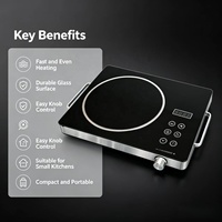 Kompor Listrik Keramik Portabel 3500W Tungku Tunggal Kontrol Sentuh Pengatur Suhu Desain Ringkas Colokan EU