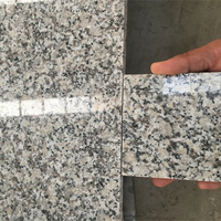Pierre naturelle gris grand panneau granit poli comptoir G602 plaque de granit pour le marché du mexique