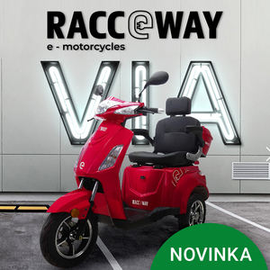 Entrepôt de l'UE Inventaire 1000W Tricycle électrique Cargo E Bike Trike pour adulte - Product Image 4