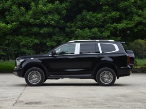 Serbatoio 2025 <span class=keywords><strong>500</strong></span> grande parete 5 posti 5 porte medie grandi <span class=keywords><strong>dimensioni</strong></span> Suv grande muro serbatoio <span class=keywords><strong>500</strong></span> Plug-in ibrido nuova auto cina per la vendita - Product Image 4