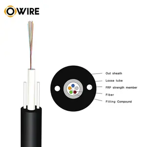 Owire Outdoor Gyfxty 2 4 8 12 24 Core Central Loose Tube Non-armored Fibre Optic Cable