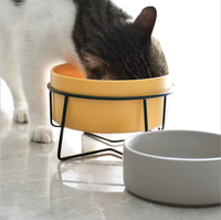 Bol en céramique pour chien et chat, distributeur d'eau et de nourriture pour animaux de compagnie, pour chats et petits chiens, accessoires pour chats, fournitures pour chiens