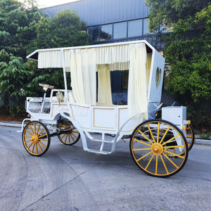 Voiturette électrique de luxe 4 places de haute qualité, directement de l'usine, pour attractions touristiques, mariages et parcs - Product Image 3