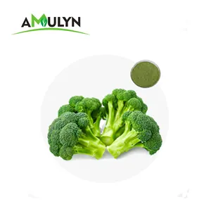 Poudre d'extrait de brocoli Brocoli sulforaphane