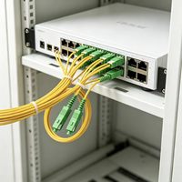 Cordon de brassage fibre optique SC/APC vers SC/APC, monomode G.657.A2 LSZH 2.0mm, insensible aux plis, 100% testé pour FTTH/PON/CATV