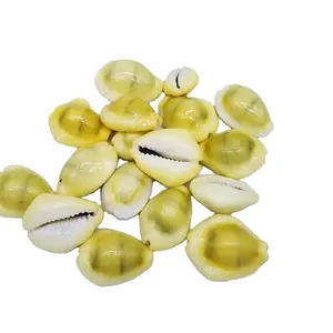 Sea shells white yellow cowrie shell bulk quantity ocean cowry seashells wholesale for crafts making