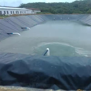 Geomembrana de HDPE de 1.0mm, 1.5mm, 2mm, Revestimiento Impermeable Anti-Infiltraciones, Revestimiento para Estanques de LLDPE y <span class=keywords><strong>PVC</strong></span>, <span class=keywords><strong>Precio</strong></span> de Fábrica por Metro Cuadrado - Product Image 6